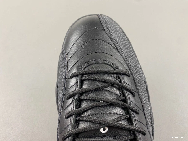 HYPE 130690-013 Retro Master Jordan 12 The Air 0813
